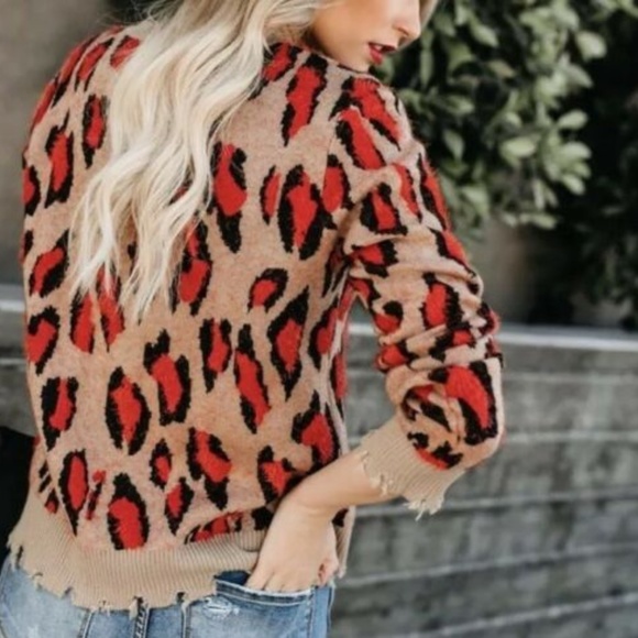 New Leopard Animal Print Boutique Crew Sweater Top - Picture 3 of 7